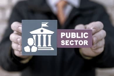 Cover image for Public Sector Enterprises In India